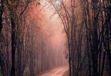 竞彩足球胜平负平台该如何选择？有哪些注意事项？